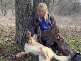 Mixed Breed dogs Gerrard - Norwich Norfolk - Advert 1