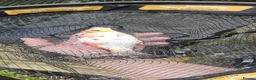 Pond Fish fish for sale: Koi carp / grass carp - Advert 6
