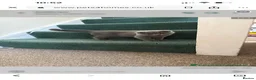 British Shorthair cats for sale: Beautiful British Shorthair & Scottish Fold Kitten - Advert 2