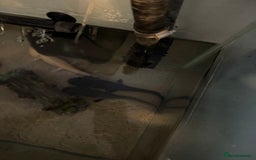 Axolotl reptiles for sale: 3 Axolotl full set up - Image 4