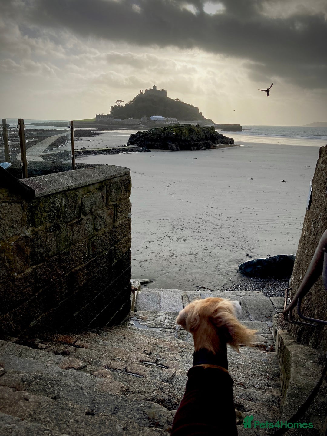 Gallery Image {{count}}