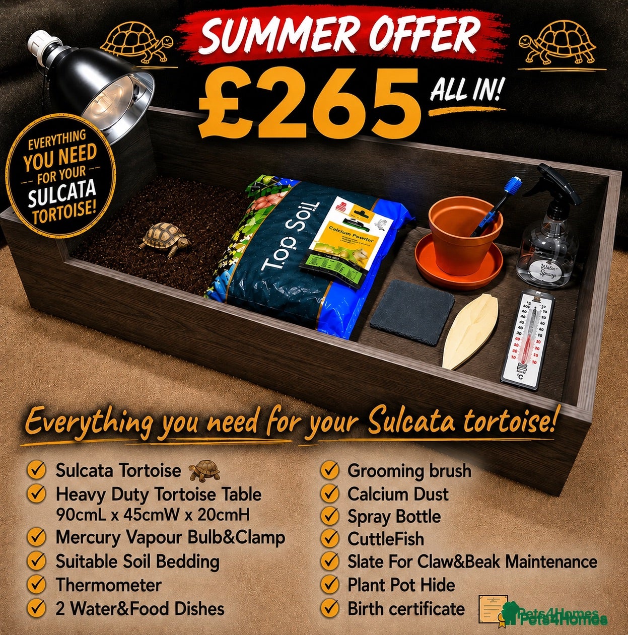 Tortoise reptiles Baby Sulcata Hatchlings & Set Ups!! - Advert 2