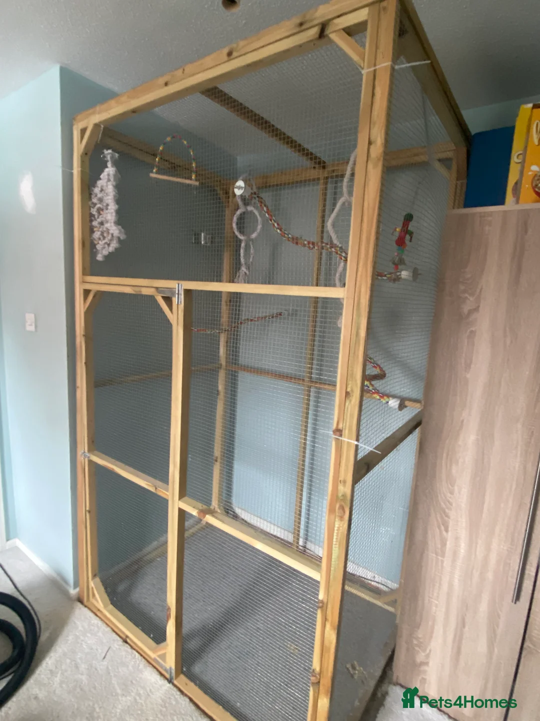 Budgerigars birds for sale: Variety Of Cages - Advert 2