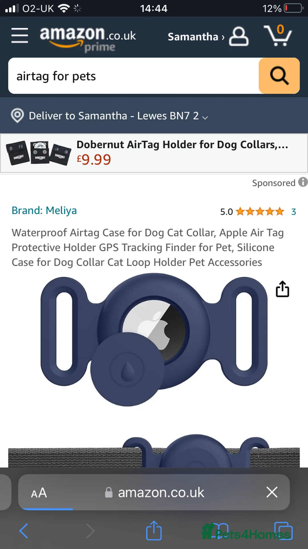 British Shorthair cats for stud: British shorthair blue  in Lewes - Advert 5