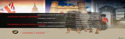 Rottweiler dogs for sale: Outstanding litter of True Type Rottweilers  - Advert 2