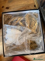 Budgerigars birds - Advert 3