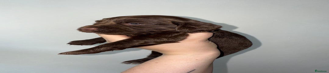 Girl 2