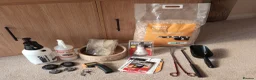 Python Snake reptiles for sale: Adult Coastal Carpet Python with Vivarium&Cabinet - Advert 8