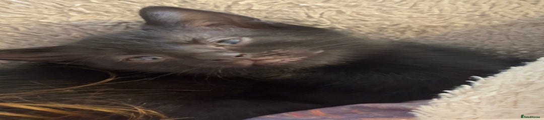 Female 1