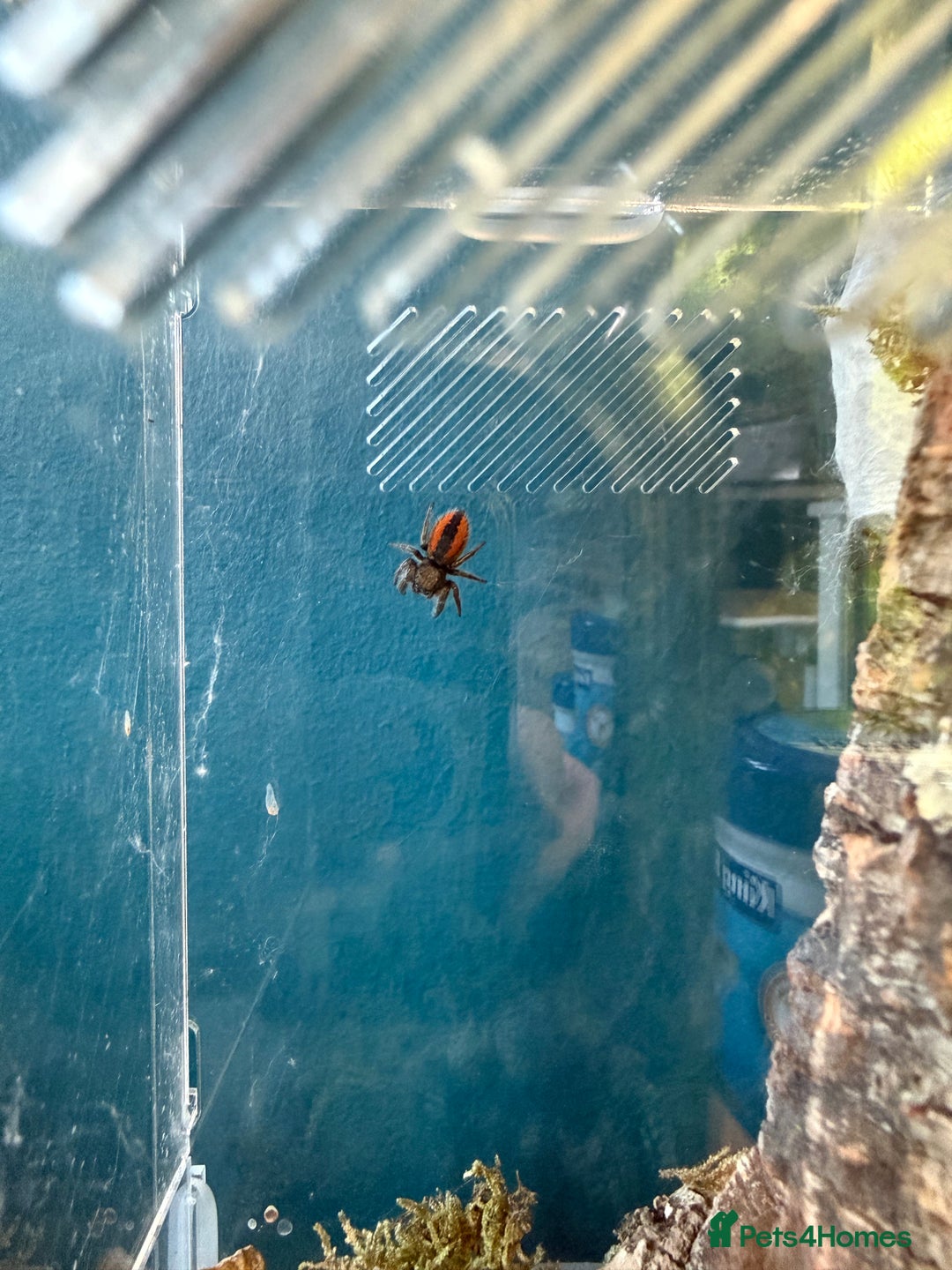 Gallery Image {{count}}