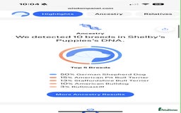 Mixed Breed dogs for sale: Bobby - Advert 7