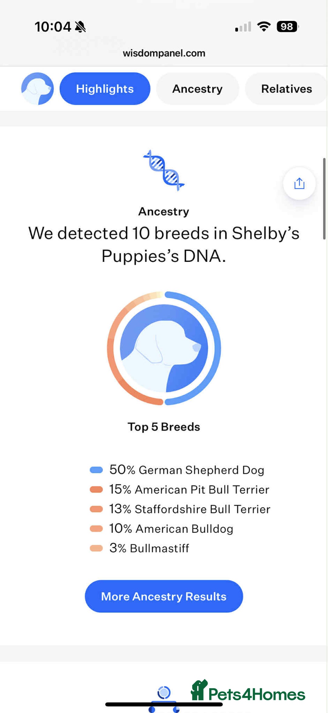 Mixed Breed dogs for sale: Bobby - Advert 7