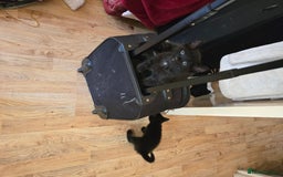 Mixed Breed cats for sale: 5 BEAUTIFUL KITTENS LOOKING NEW HOME  - Image 5