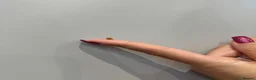 Snails invertebrates for sale: Baby Giant African Land Snails – Available Now 🐌 - Advert 3