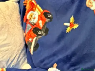 Lovebirds birds 2 love birds for selling only both not separated v - Advert 1