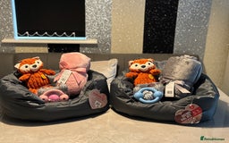 French Bulldog dogs for sale: 1 female available  READY TO LEAVE,   - Image 7