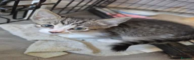 Female 1