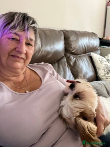 Gallery Image {{count}}