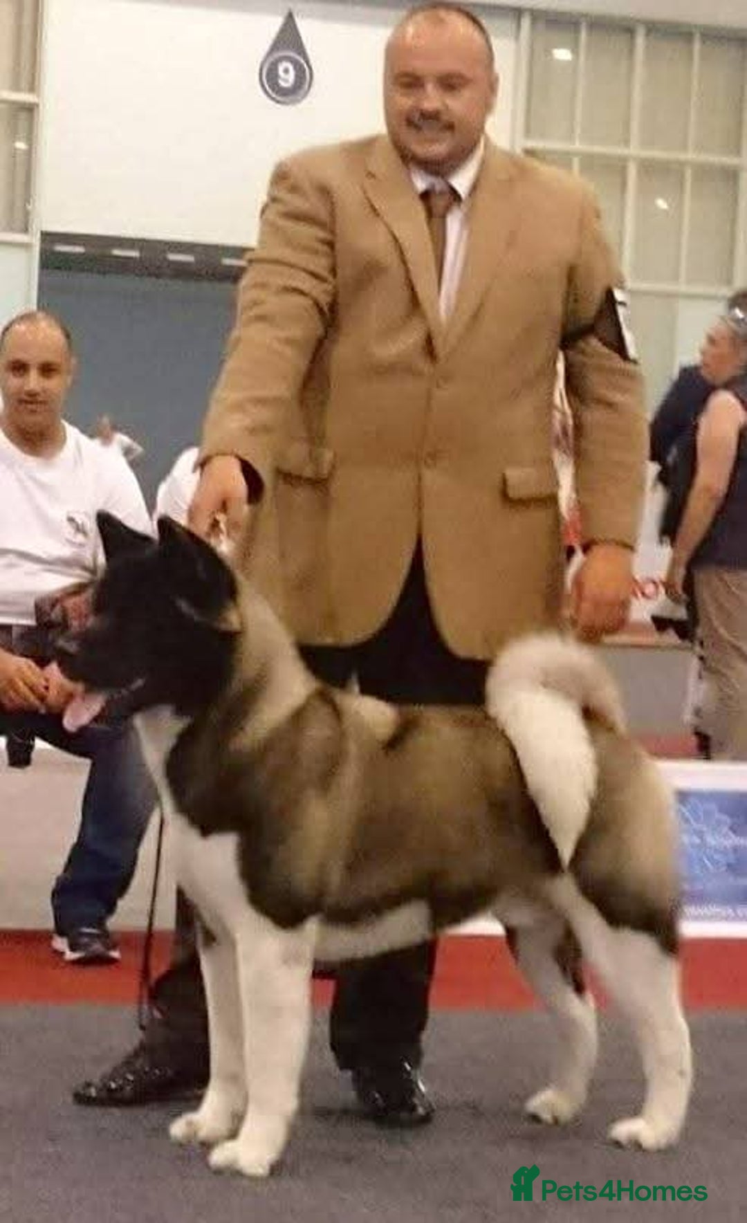 Gallery Image {{count}}