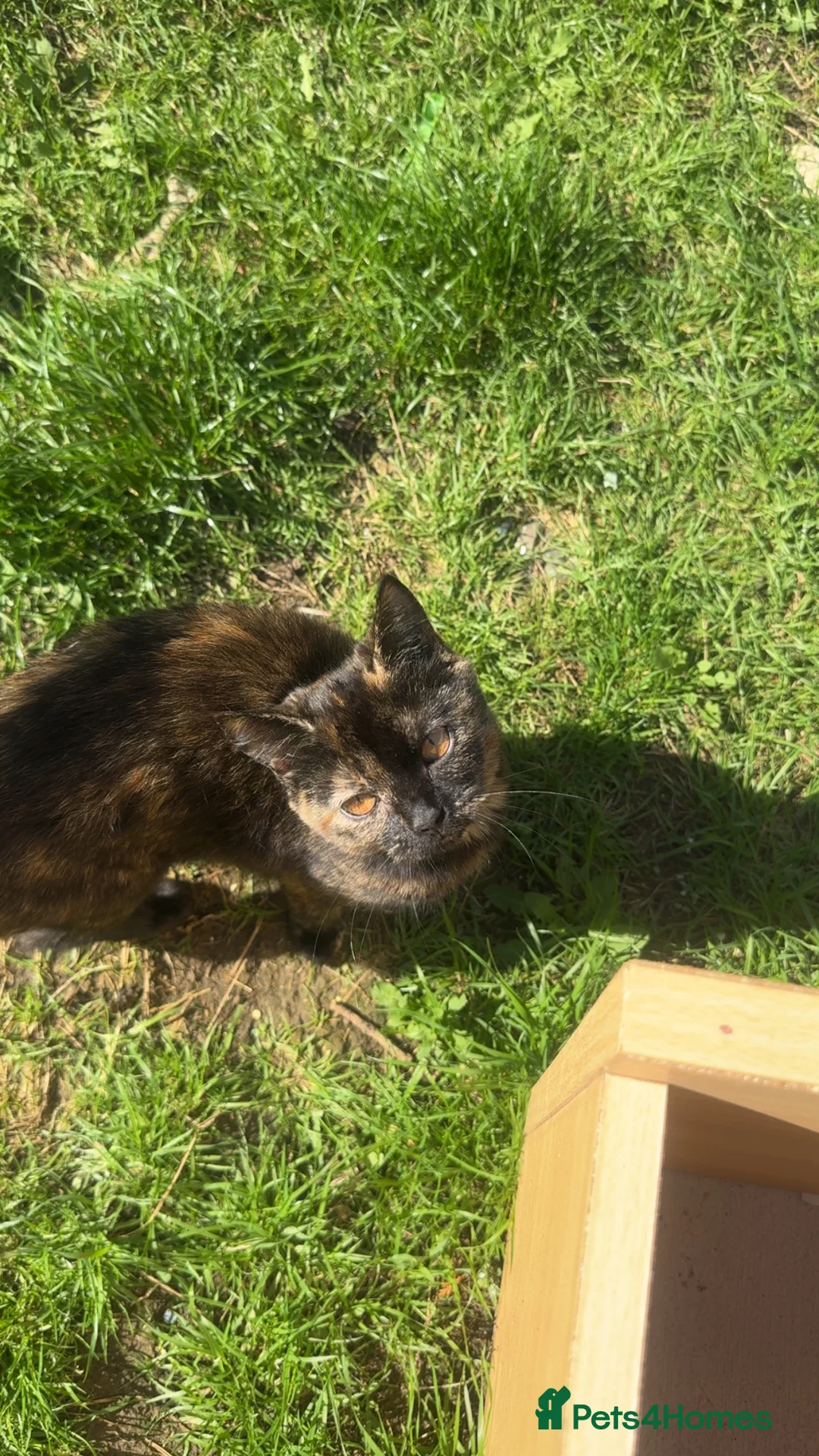 Gallery Image {{count}}