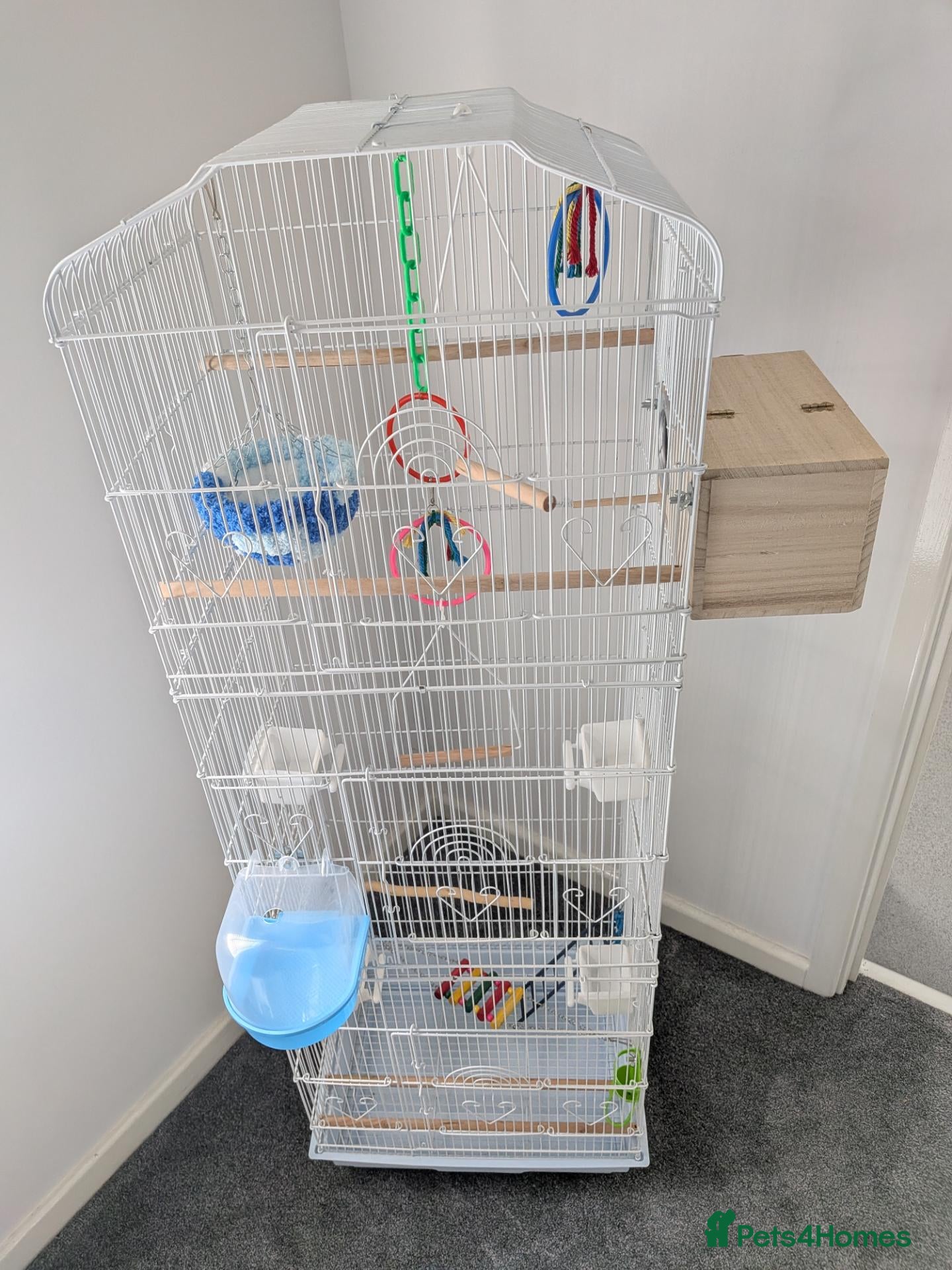 Mixed Breed birds Bird cage for sale. XXL BRAND NEW accessories Inc. - Advert 4