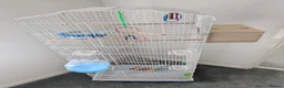 Mixed Breed birds for sale: Bird cage for sale. XXL BRAND NEW accessories Inc. in Dartford - Advert 1