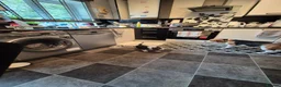 Beagle dogs for sale: Beagle Boy puppy  - Advert 2