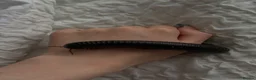 Millipedes invertebrates for sale: giant african millipede  in Cannock - Advert 1