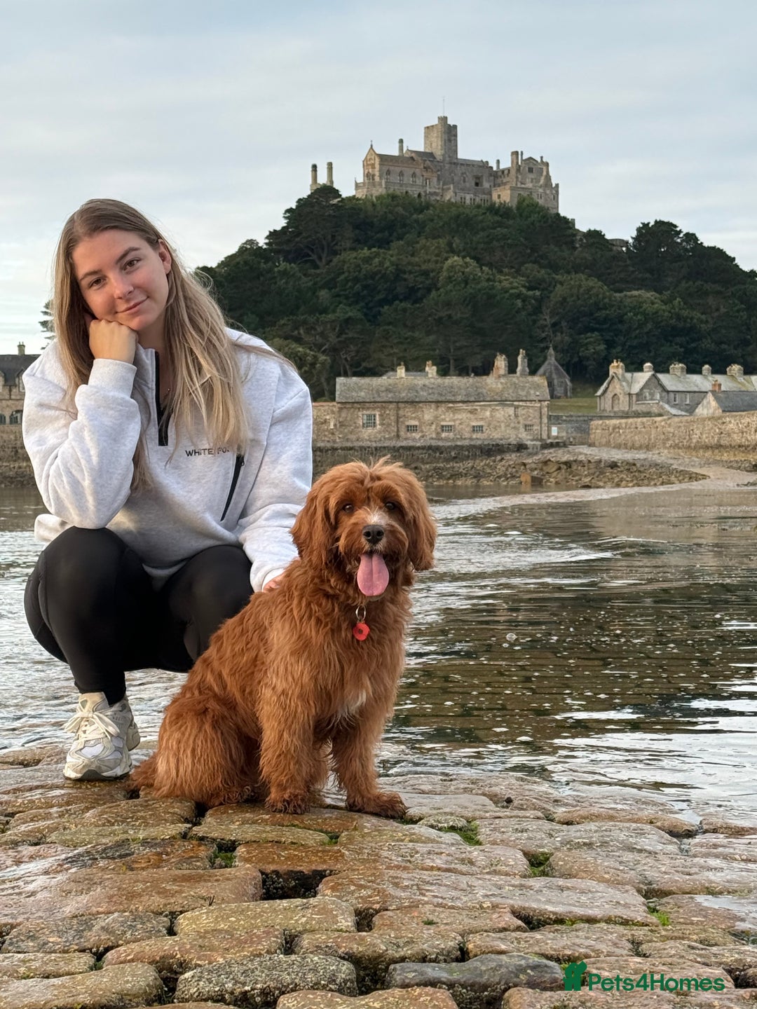 Gallery Image {{count}}