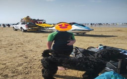 Mixed Breed dogs for sale: Giant schnauzer x standard poodle - Image 4