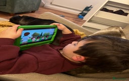 Mixed Breed dogs for sale: 6m staffy/frenchie/pug mix for sale due to cancer - Advert 9