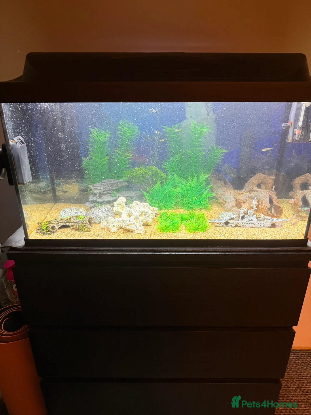 Other/Mixed Breed fish for sale: 105 litre full tropical fish tank set up  - Advert 1