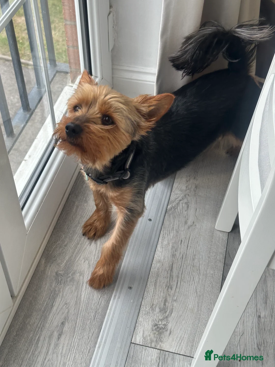 Gallery Image {{count}}