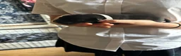 Staffordshire Bull Terrier dogs for sale: Stunning Litter - Advert 8