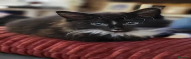 3. Male tuxedo 