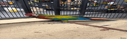 Macaws birds for sale: Gorgeous Baby hand reared Shamrock Macaw - Advert 2