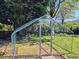 Chickens poultry Chicken run - Advert 4