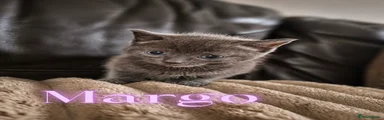 Margo