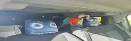 Macaws birds for sale: Harlequin macaw. Free flight trained - Advert 1