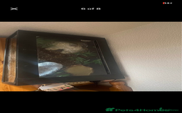 Leopard Gecko reptiles for sale: reptile vivarium and equipment for sale - Image 4