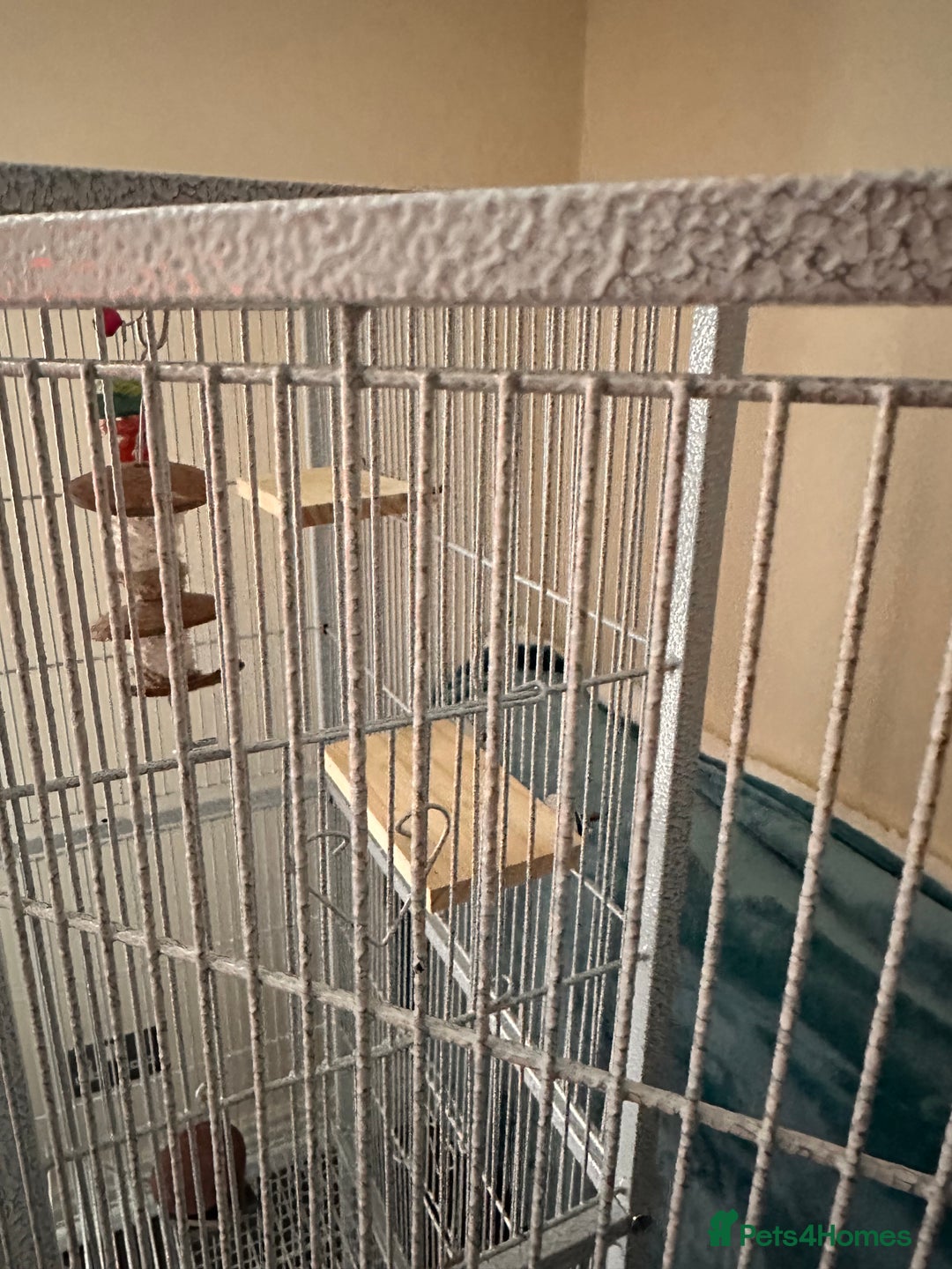 Cockatiels birds for sale: Two yaheetech cages for sale bargain! in Leeds - Image 5
