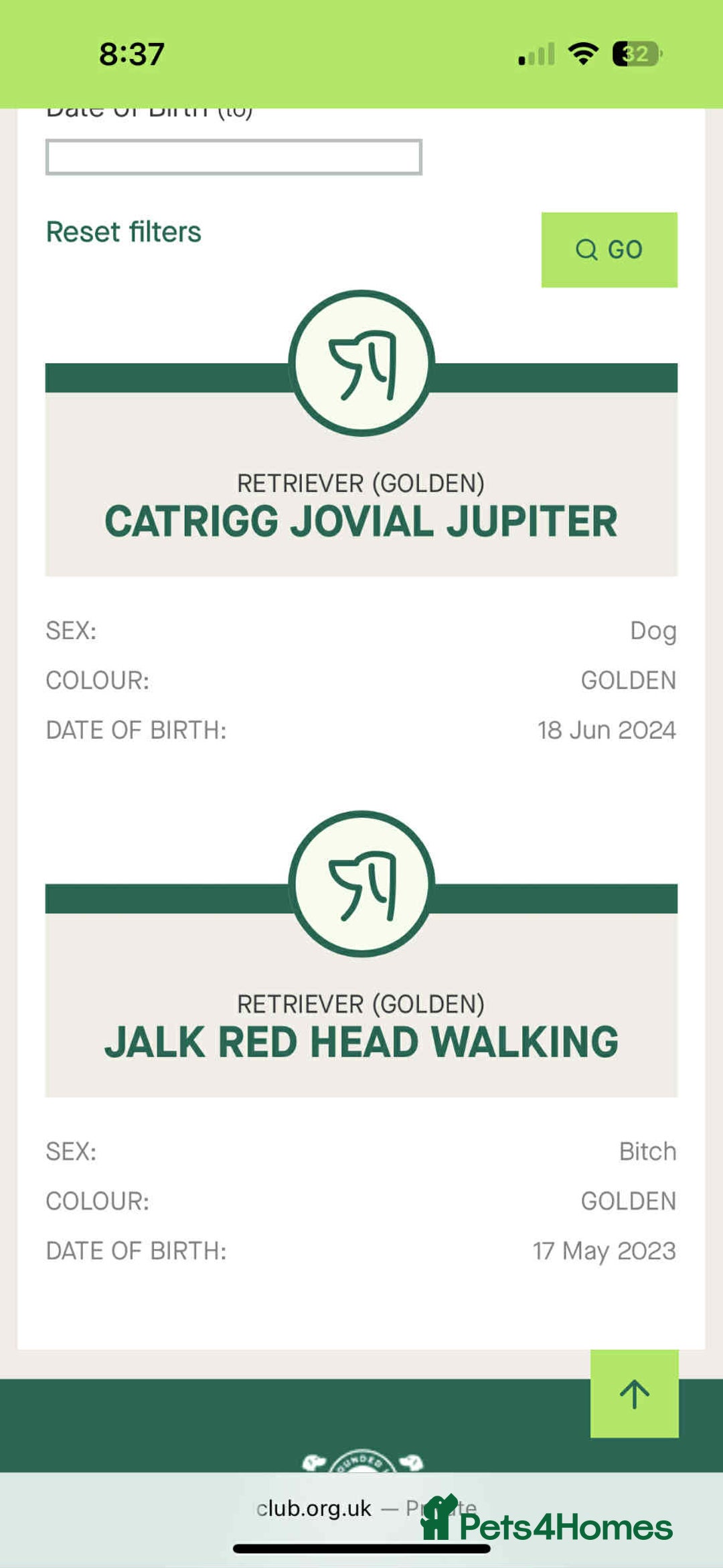Golden Retriever dogs for sale: Kc pedigree golden retrievers (fox red  in Malton - Image 8
