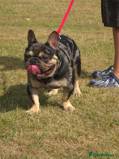 Gallery Image {{count}}