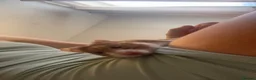 Hamster rodents for sale: Syrian hamster for re homing in Leeds - Advert 1