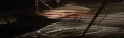 Rat rodents for sale: 3 female Rats - Advert 11