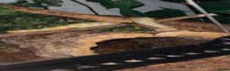 Boa Snake reptiles for sale: Morph albino ball python  - Advert 2