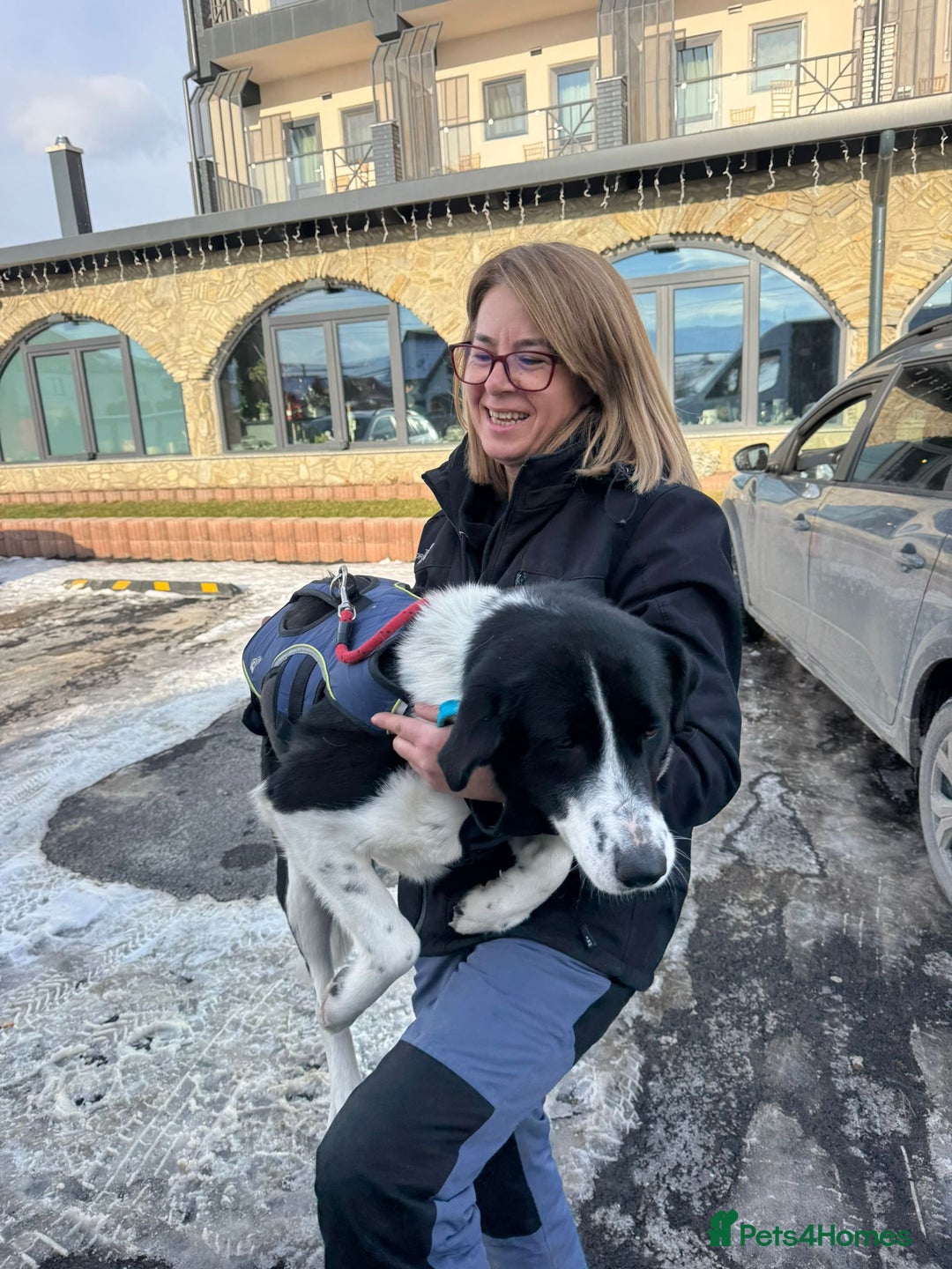 Mixed Breed dogs for adoption: 🐾 Meet Nala 🐾 - a loyal girl - for a Loving Home - Advert 10