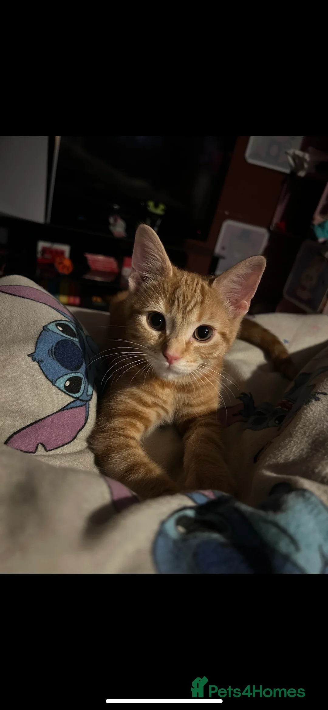 Gallery Image {{count}}