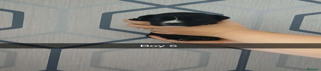 Boy 5 
