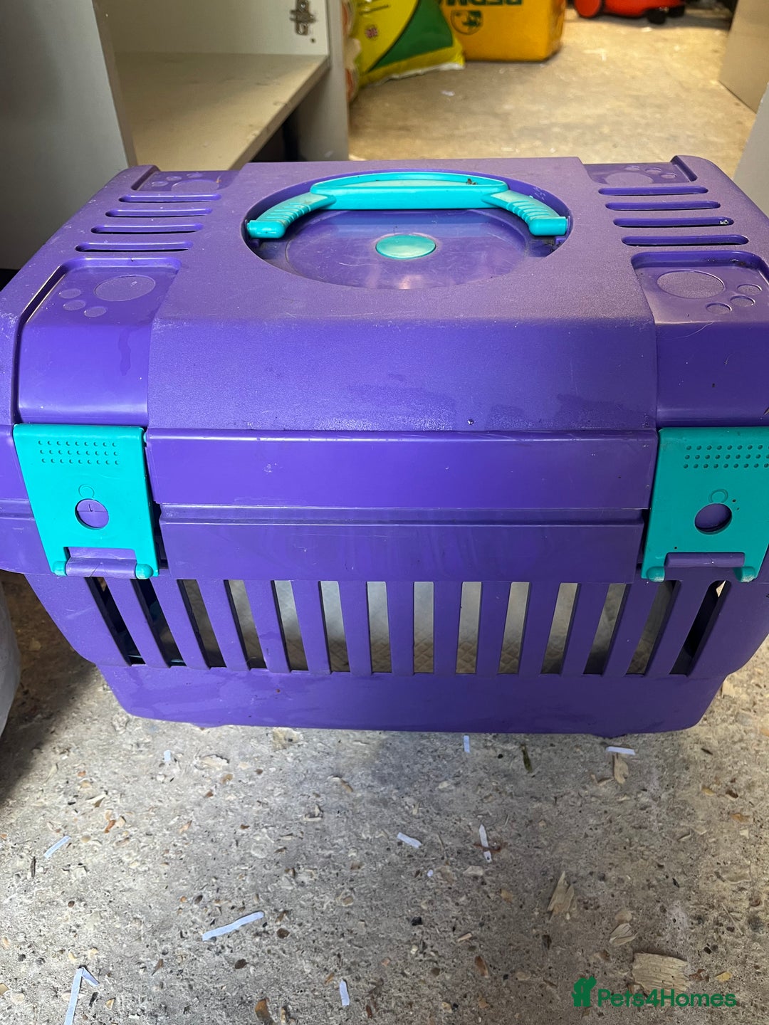 Pygmy Hedgehog rodents for sale: Young black boy/ full set up / carrier ready today - Image 8